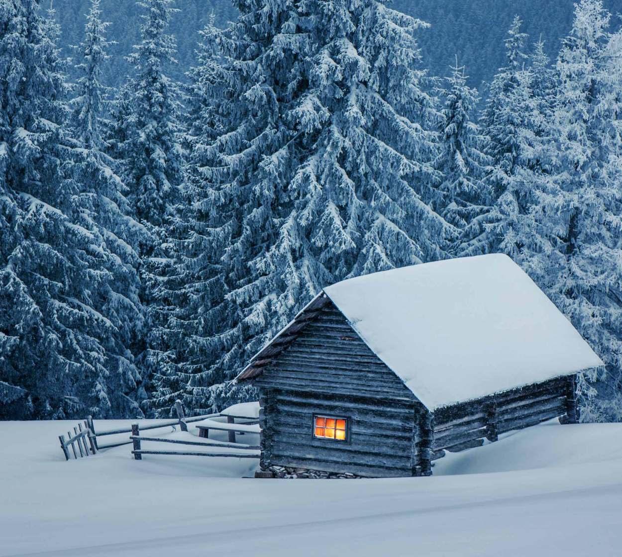Winter Image